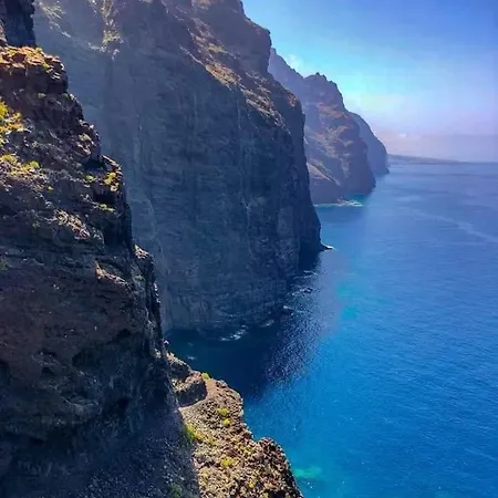 Delfin Amarillo-los Gigantes-acantilados Y Mar