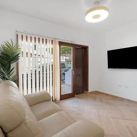 Delfin Amarillo-los Gigantes-acantilados Y Mar