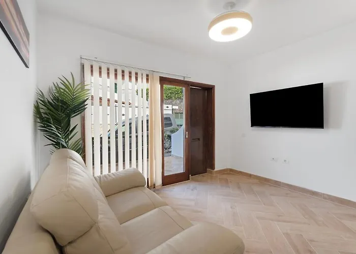 Delfin Amarillo-Los Gigantes-Acantilados Y Mar